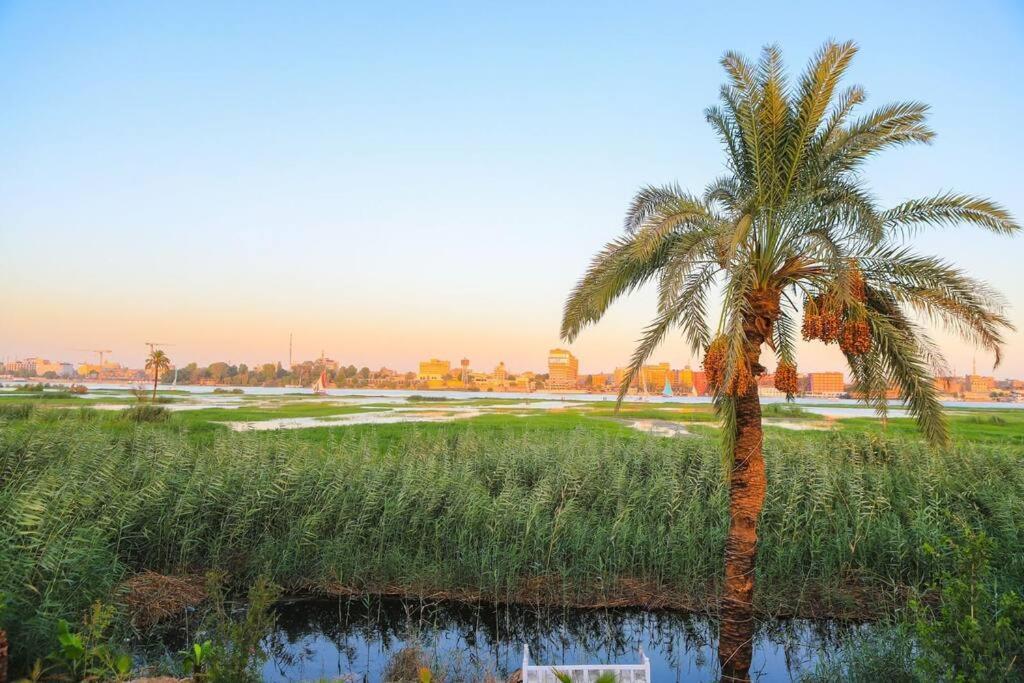 Royal Nile Villa - Nile View Apartment 1 Luxor Bagian luar foto